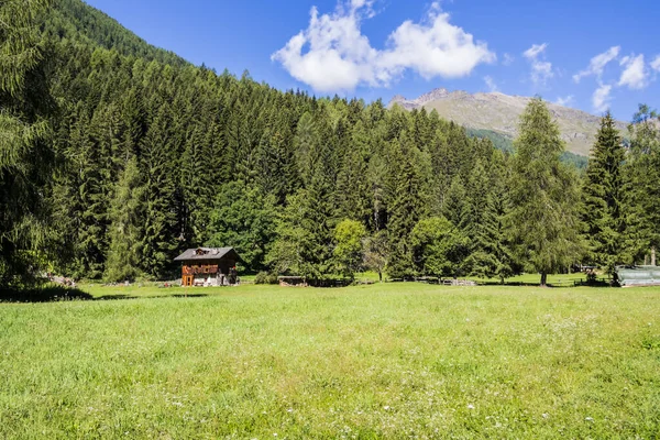 山の美しい景色 — ストック写真