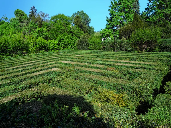 Labyrinth Villa Valsanzibio Colli Euganei Падуя Италия — стоковое фото