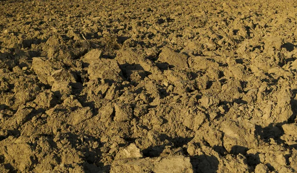 Geploegde Grond Met Bruine Tegels — Stockfoto