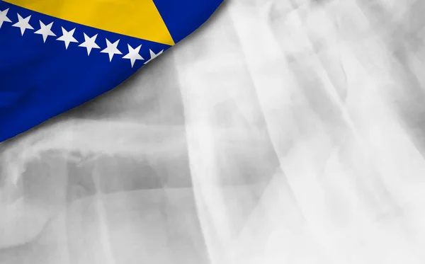 Bandera Bosnia Herzegovina Sobre Fondo Gris Degradado —  Fotos de Stock