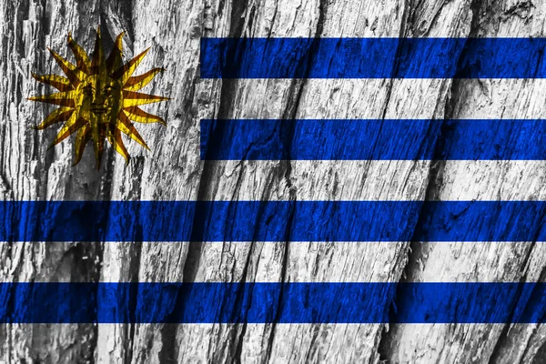 Bandera Uruguaya Sobre Tabla Madera Vieja —  Fotos de Stock