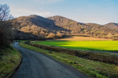 Padua ili Euganean Tepeleri üzerinde yol - İtalya