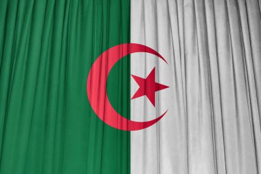 Dalgalı kumaş üzerinde Cezayir bayrağı