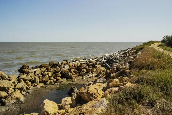 Φυσικές Ακτές Κατά Μήκος Της Αδριατικής Θάλασσας Στο Lido Delle — Φωτογραφία Αρχείου