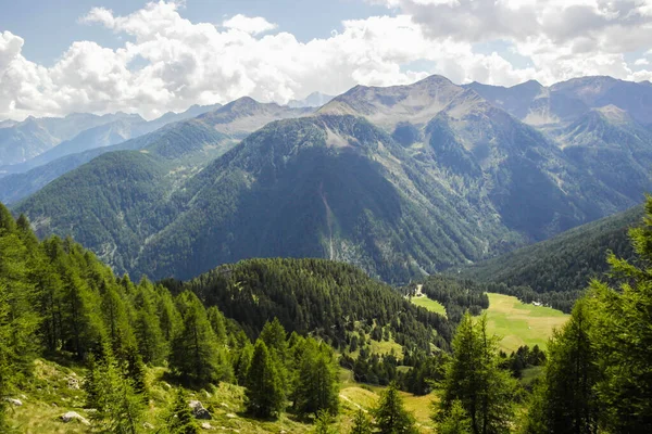 Yeşil dağ manzarası