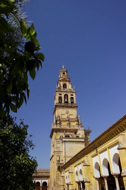Cordoba Katedrali 'nin kulesi, portakal bahçelerinin arasında. 13 Ağustos 2016 Cordoba, Endülüs İspanya