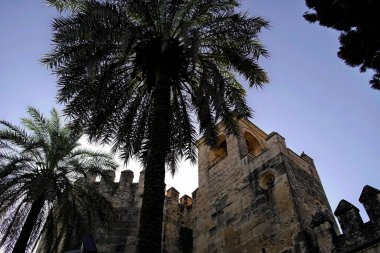 Alcazar de los Reyes Cristianos Duvarı Cordoba, İspanya, Endülüs