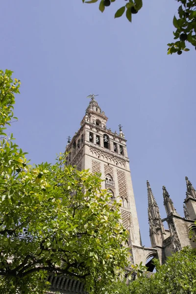 Turuncu Ağaçlı Giralda Kulesi Sevilla Spanya — Stok fotoğraf