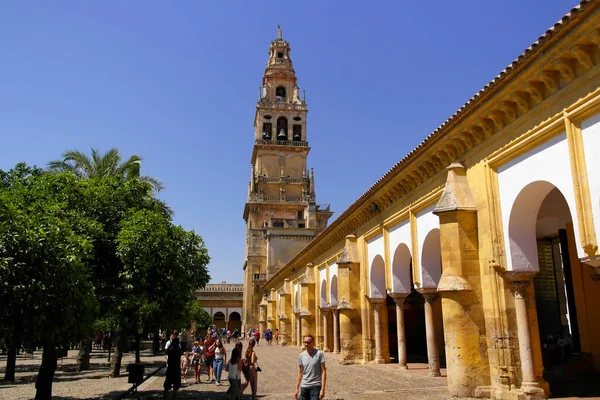 Turm Der Kathedrale Von Cordoba August 2016 Cordoba Andalusien Spanien — Stockfoto