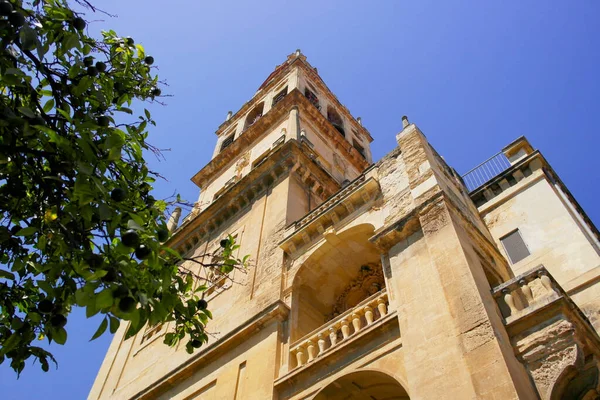Detaljer Tornet Katedralen Cordoba Augusti 2016 Cordoba Andalusien Spanien — Stockfoto