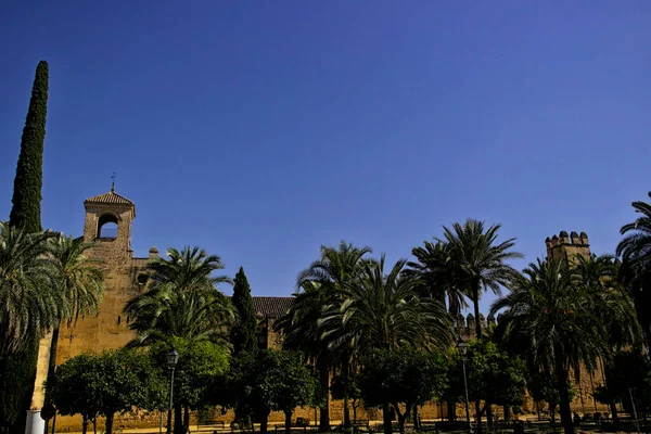 西班牙科尔多瓦Alcazar Andalusia的外墙和棕榈 — 图库照片