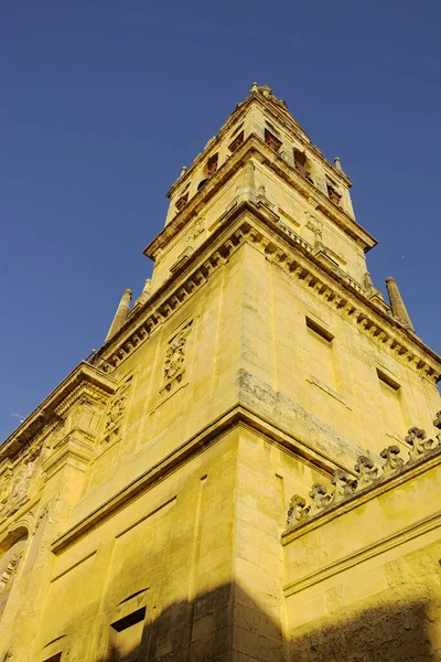 Klocktornet Katedralen Cordoba Utsikt Underifrån Spanien Andalusien — Stockfoto