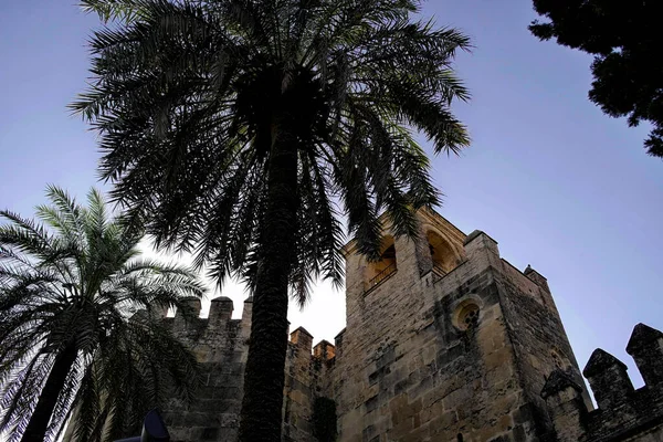 Muralla Del Alcázar Los Reyes Cristianos Córdoba España Andalucía — Foto de Stock