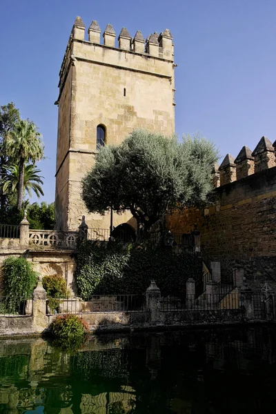 Estanque Torre Del Alcázar Los Reyes Cristianos Córdoba Agosto 2016 — Foto de Stock