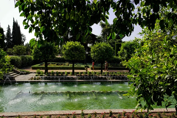 Jardines Del Alcázar Los Reyes Cristianos Córdoba España Andalucía — Foto de Stock