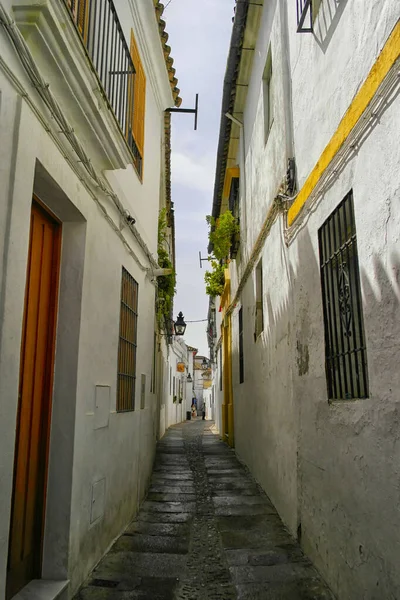 Cordoba 'daki Dar Sokak. 15 Ağustos 2016 Cordoba, Endülüs, İspanya