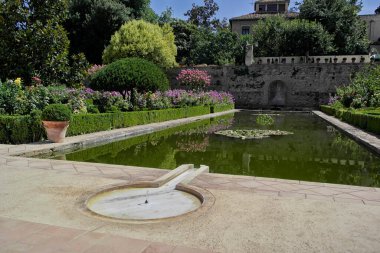 Granada 'daki Alhambra Kalesi' nde su zambaklarıyla dolu bir gölet. Ağustos 2016 Granada, Endülüs - İspanya