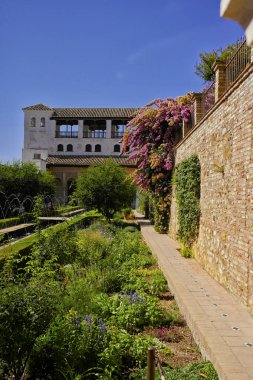 Granada 'daki Alhambra' daki Generalife Sarayı 'nın bahçesinden manzara. Ağustos 2016 Granada, Endülüs - İspanya