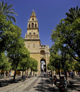 Cordoba Katedrali 'nin kulesi, portakal bahçelerinin arasında. 13 Ağustos 2016 Cordoba, Endülüs İspanya