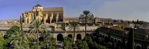 Cordoba Katedrali Nin Panorama Yukarıdan Görüldüğü Gibi Spanya Endülüs — Stok fotoğraf