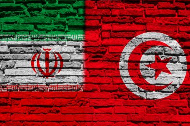 Tuğla duvarda İran ve Tunus bayrakları