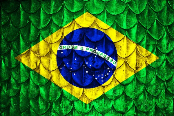 Bandeira Brasil Com Escamas — Fotografia de Stock