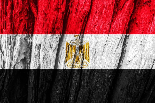 樹皮にエジプトの旗 — ストック写真