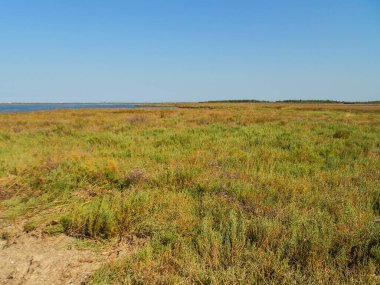 Nehir ve gölü olan güzel bir manzara.