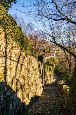 Parkın güzel manzarası