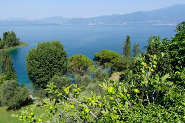 Garda Gölü, Punta San Vigilio yakınlarında. 23 Haziran 2016 Verona - İtalya