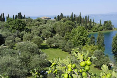 Garda Gölü, Punta San Vigilio yakınlarında. 23 Haziran 2016 Verona - İtalya