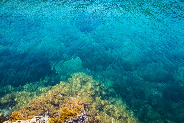 Prachtig Tropisch Zeewateroppervlak Met Rotsen Onder Water — Stockfoto