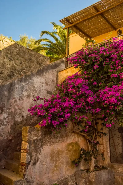 Casa Con Buganvillas Porto Ercole Monte Argentario Toscana Italia — Foto de Stock