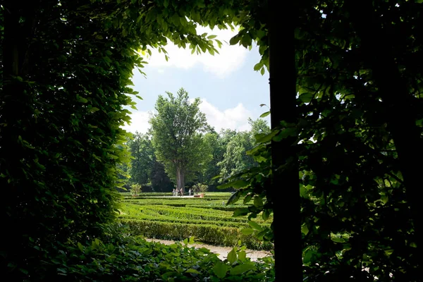 Zahrada Královský Palác Colorno Parma Itálie — Stock fotografie