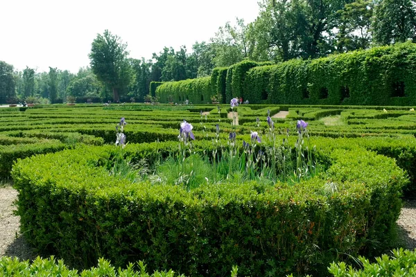 Jardin Palais Royal Colorno Parme Italie — Photo