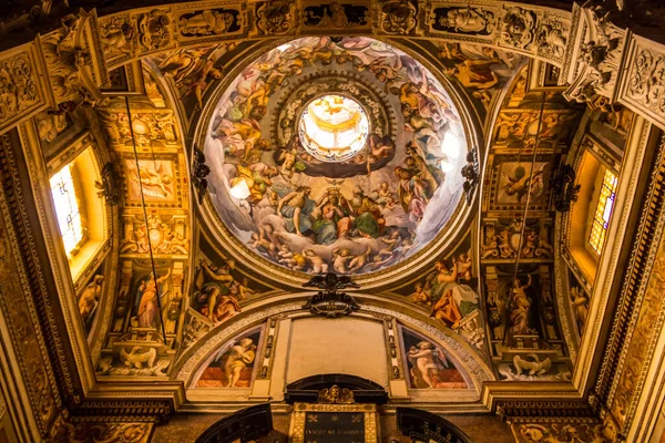 Cappella Dell Immacolata Concezione Nella Basilica San Francesco Piacenza Cappella — Foto Stock