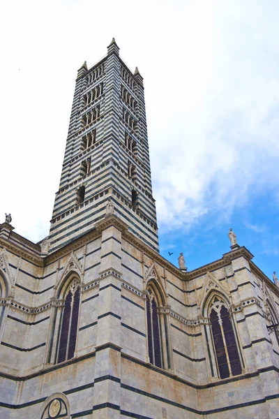 Siena Toskana Katedrali Nin Çan Kulesi Talya — Stok fotoğraf