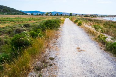 Talamone, Tuscany, İtalya plajı manzarası