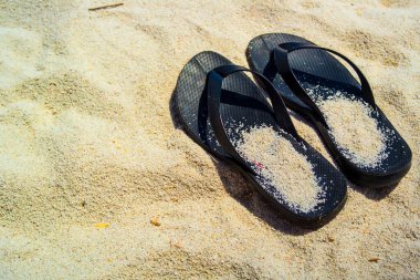 Talamone, Tuscany, İtalya plajı manzarası