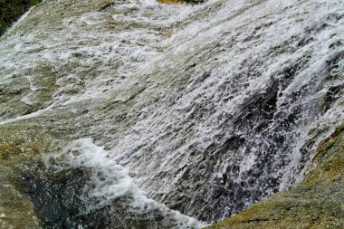 Ormandaki kayalıklarda şelale