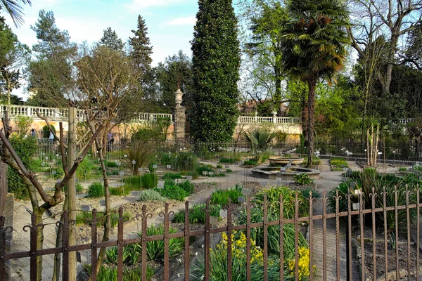 Jardín Botánico Padua Abril 2016 Padua Italia — Foto de Stock