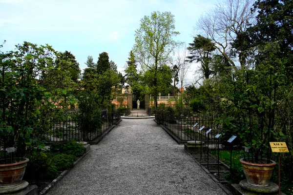 Βοτανικός Κήπος Της Πάδοβας Απρίλιος 2016 Πάδοβα Ιταλία — Φωτογραφία Αρχείου