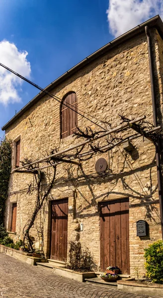 Rustikální Dům Vinnou Révou Arqua Petrarca Padova Itálie — Stock fotografie