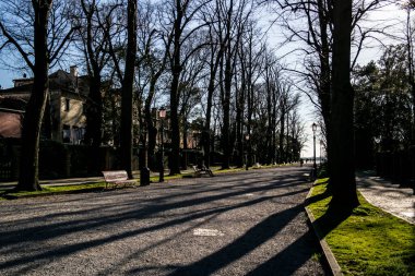 Venedik 'te kış ağaçlarıyla dolu uzun bir cadde. 11 Ocak 2018 Venedik, Venedik - İtalya