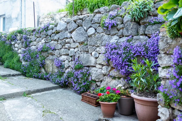 Strada Pedonale Decorata Con Fiori — Foto Stock