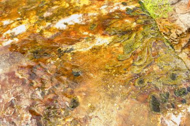 Kuru bir nehrin dibini görüntüle