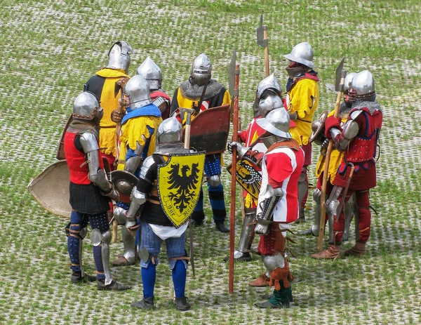Grup çimlerde Şövalyeleri. Mir castle. Belarus.