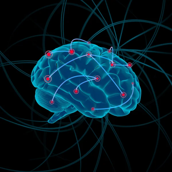 Hjärnan illustration — Stockfoto