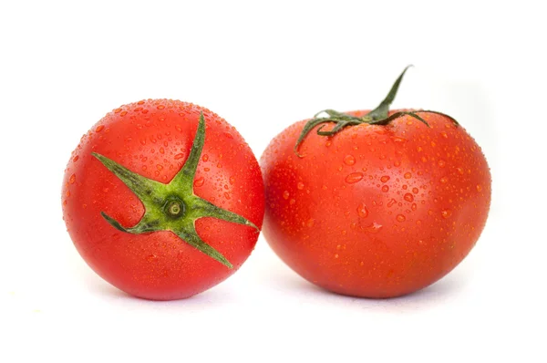 Beyaz arka planda ıslak domates — Stok fotoğraf