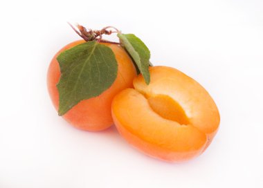 beyaz arkaplanda olgun kayısılar